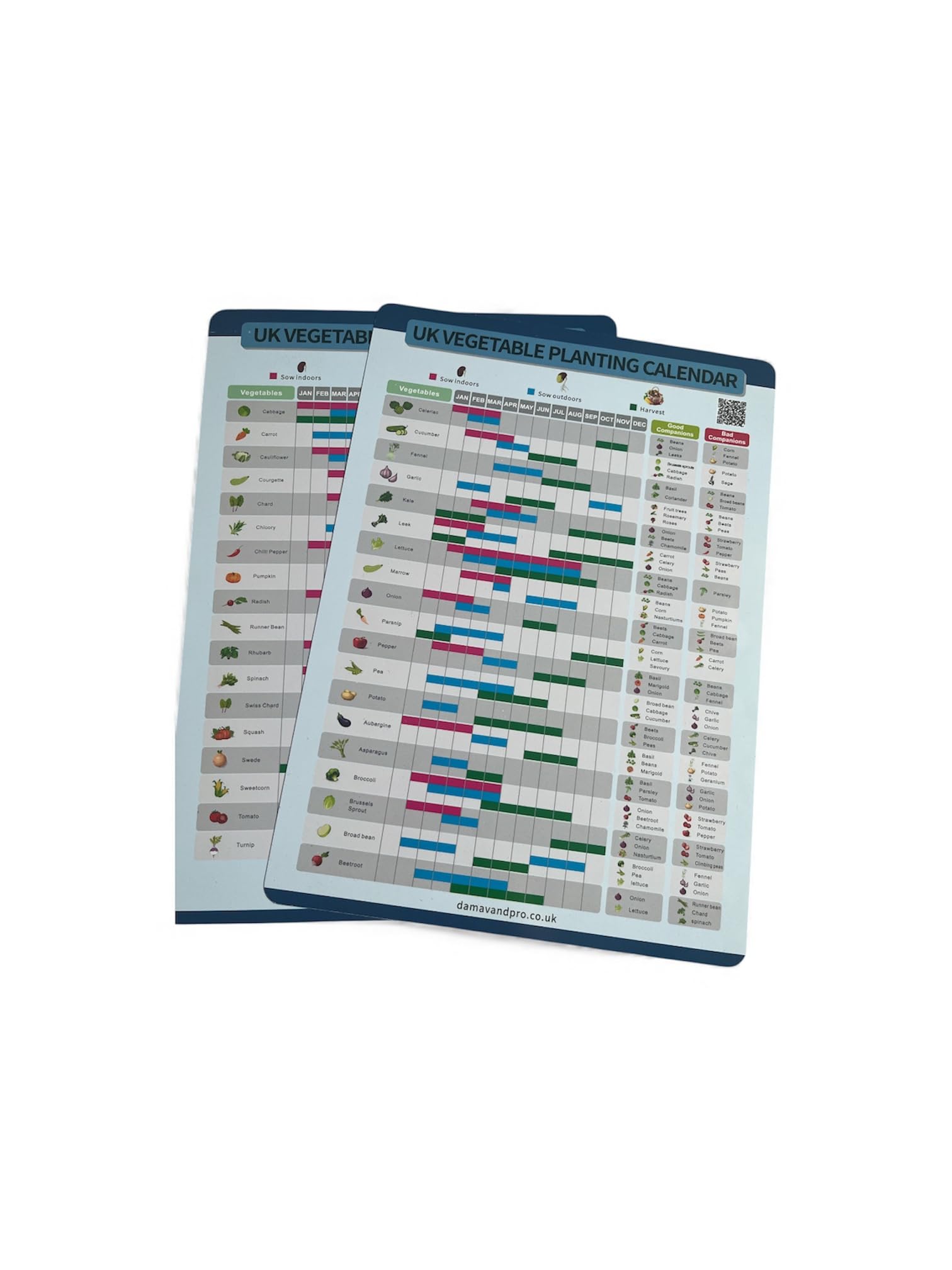 UK Vegetable Growing Calendar 2026, 2 Pages of Laminated Year-Round Guide, Weatherproof Garden Planner, 37 Vegetables, A4, Blue
