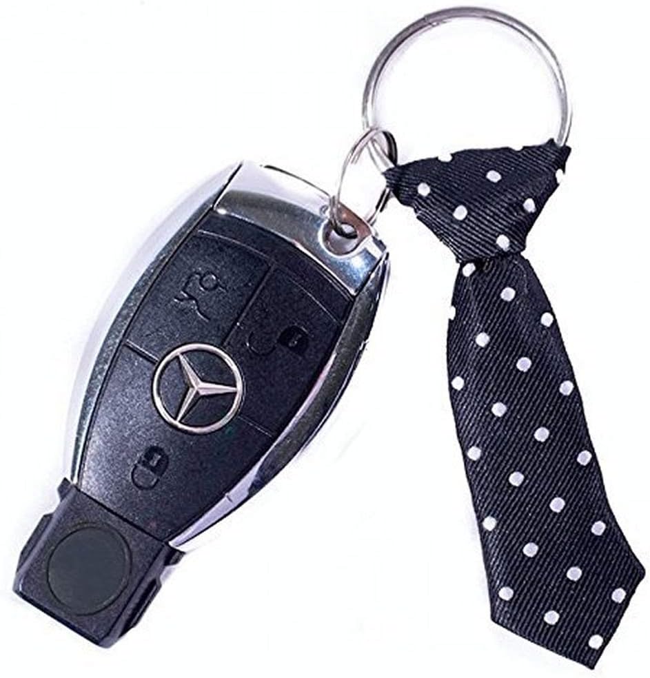 The Pocket Tie Miniature Red Tie Key Chain for Men, Black