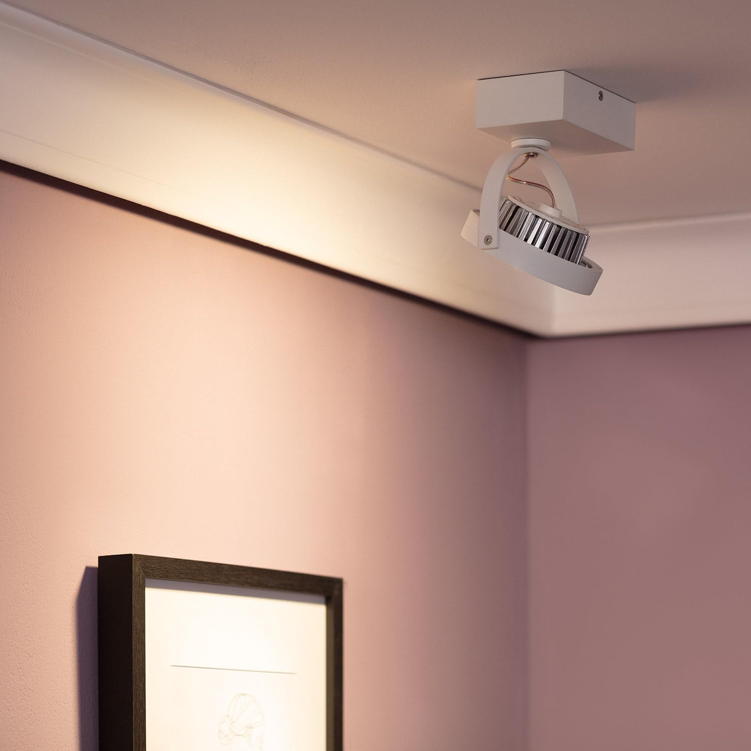 LEDKIA LIGHTING - Foco LED 15W CREE Direccionable | Regulable AR111 | Blanco Cálido 2700K | 800 lm | Rotación 350º | Aluminio PC, Multicolor