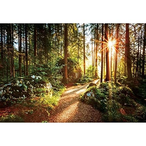 Yeele 12x8ft Jungle Forest Backdrop Natural Spring Scenery Sunshine Green Mountain Trees Background Outdoor Picnic Hiking Camping Picture Photoshoot Wedding Photography Background Photobooth Props Cover