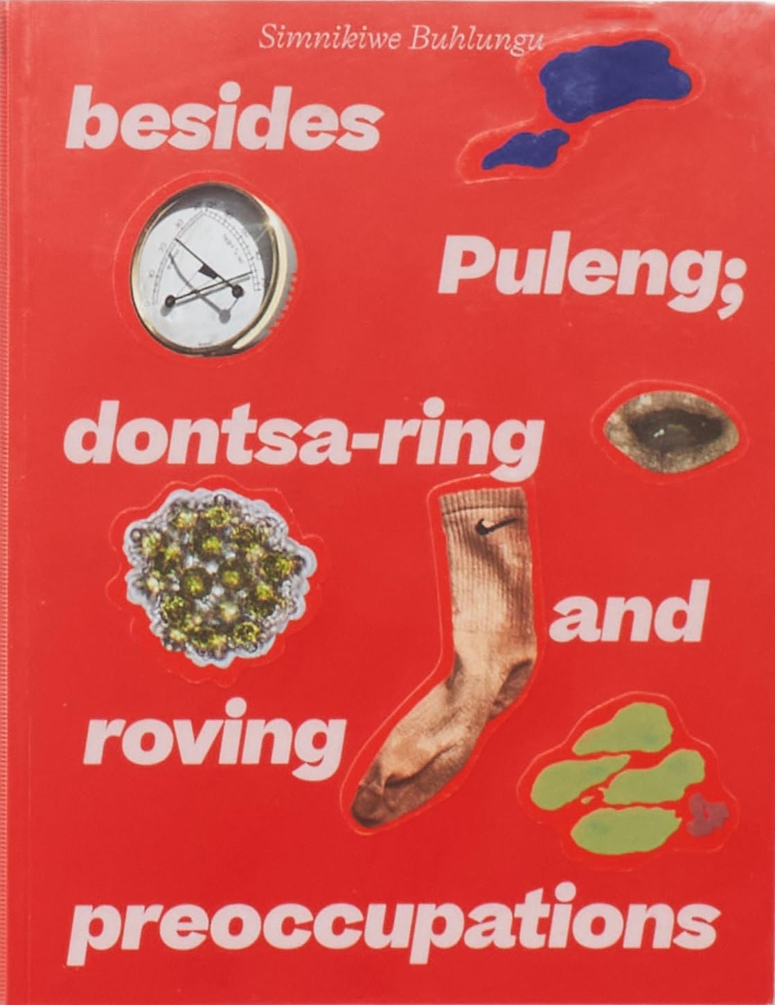 Simnikiwe Buhlungu: Besides Puleng beau livre de table basse