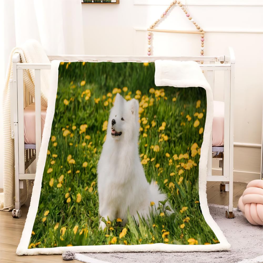 Samoyed Blanket Throw Warm Cozy Sherpa Fleece Blanket for Bed, Sofa, Couch and Chairs, 3D Printed Dog Animal Plush Blankets for kids Adults Girls Boys Home Decor (100x130 cm)