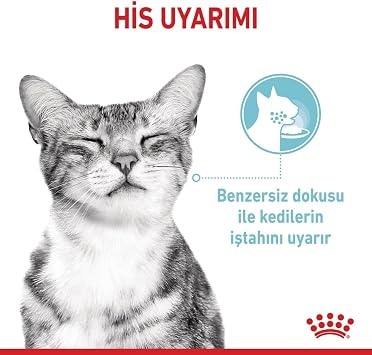 Royal Canin Sensory Feel Gravy 85 Grx12 Canned Cats