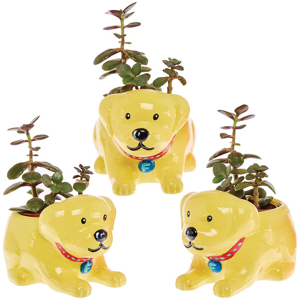 Baker Ross FX694 Ceramiczna doniczka-pies labrador - zestaw 2 szt., pomaluj własną doniczkę