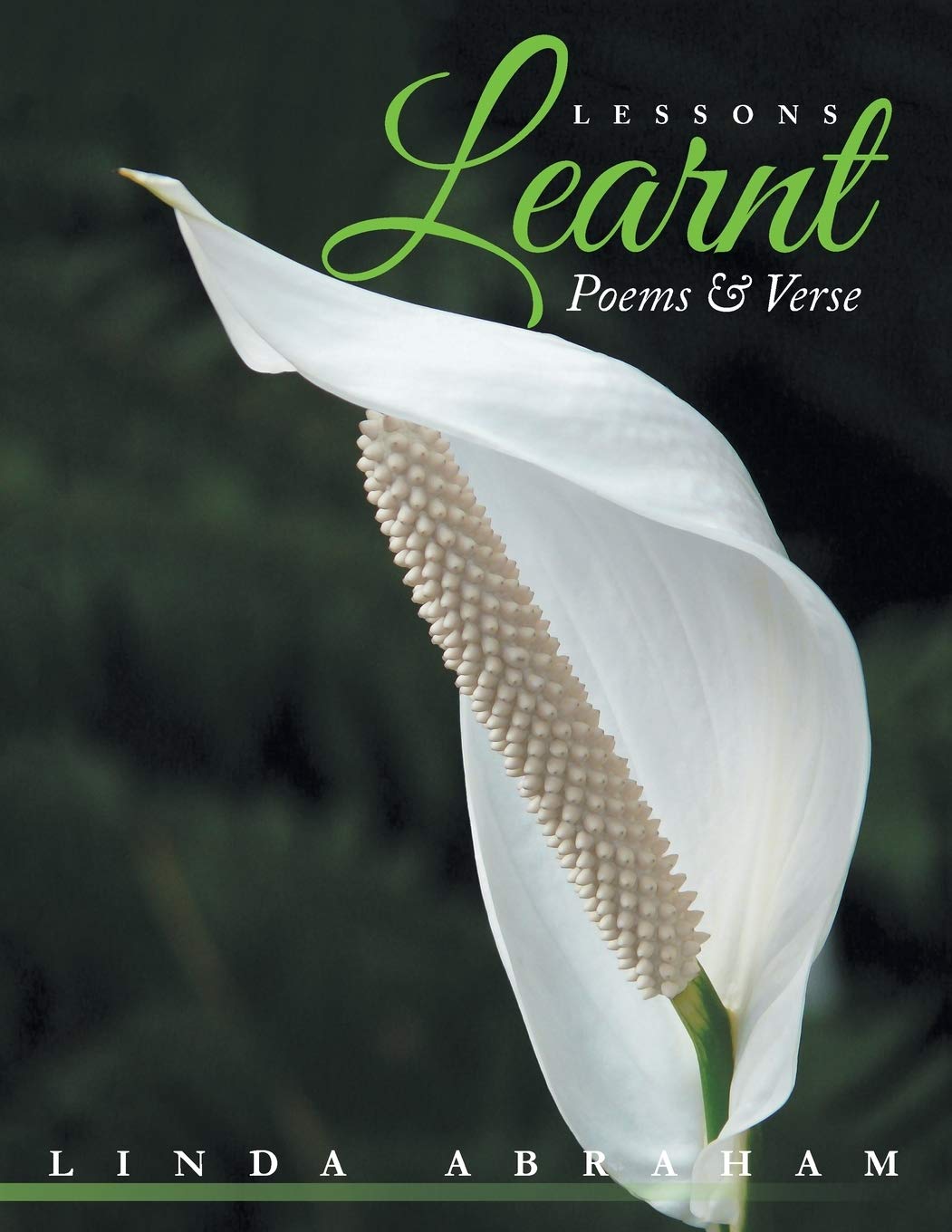 Lessons Learnt: Poems & Verse