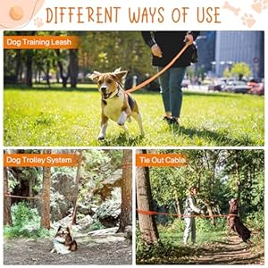 Dog Tie out Cable 40ft Portable Dog Trolley System with 6ft Dog Leash Heavy Duty Dog Runner Lead for Camping Yard Park Outside  Cucciolini Doodles Dog tie out cable 40ft portable dog trolley system with 6ft dog leash heavy duty dog runner lead for camping yard park outside   cucciolini doodles
