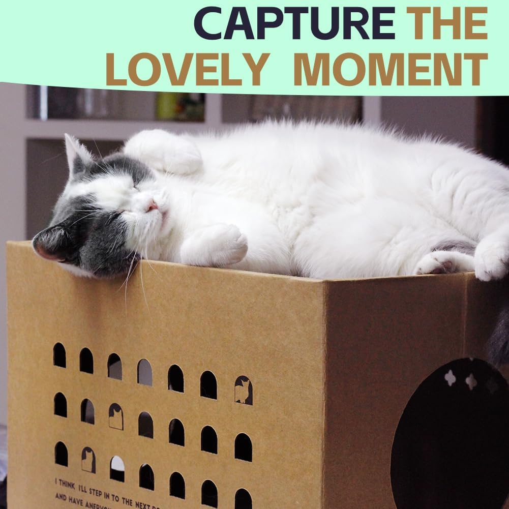 review Cardboard Cat House with Catnip 17