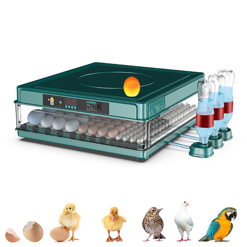 CcacHe Eier Automatischer Brutkasten, Eierbrutkasten mit Eierwender/Automatische Wassernachfüllung/Temperaturregelung/LED-Beleuchtung, Für Hühner Enten Gans Vogel,98