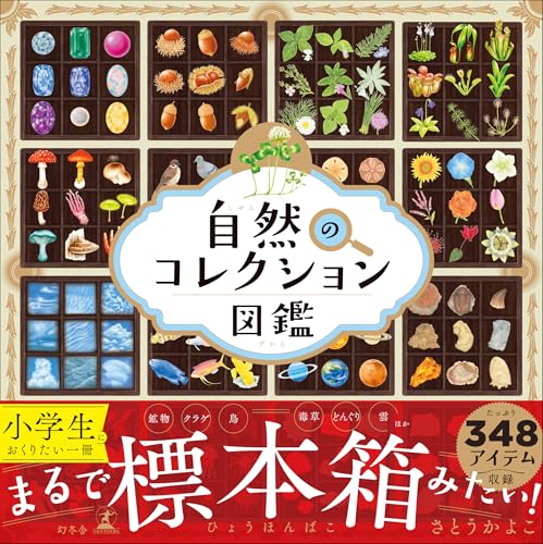 自然のコレクション図鑑