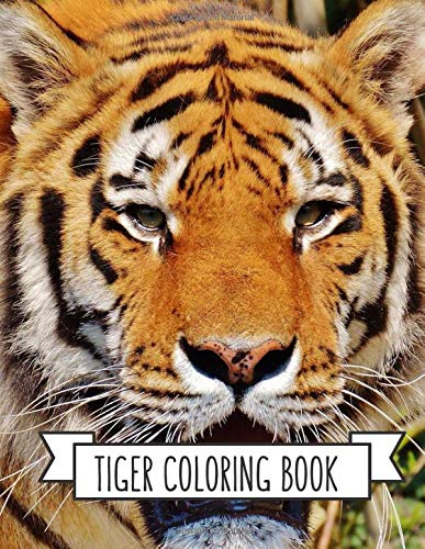 Tiger Coloring Book: Coloring Toy Gifts for Kids or Adults | Cute Easy and Relaxing Realistic Animal Large Print Birthday Gifts