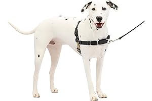 Rover Gear Better Walk No-Pull Dog Harness