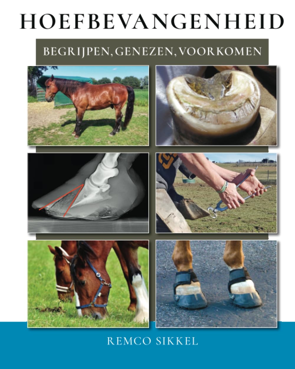 Hoefbevangenheid: begrijpen, genezen, voorkomen