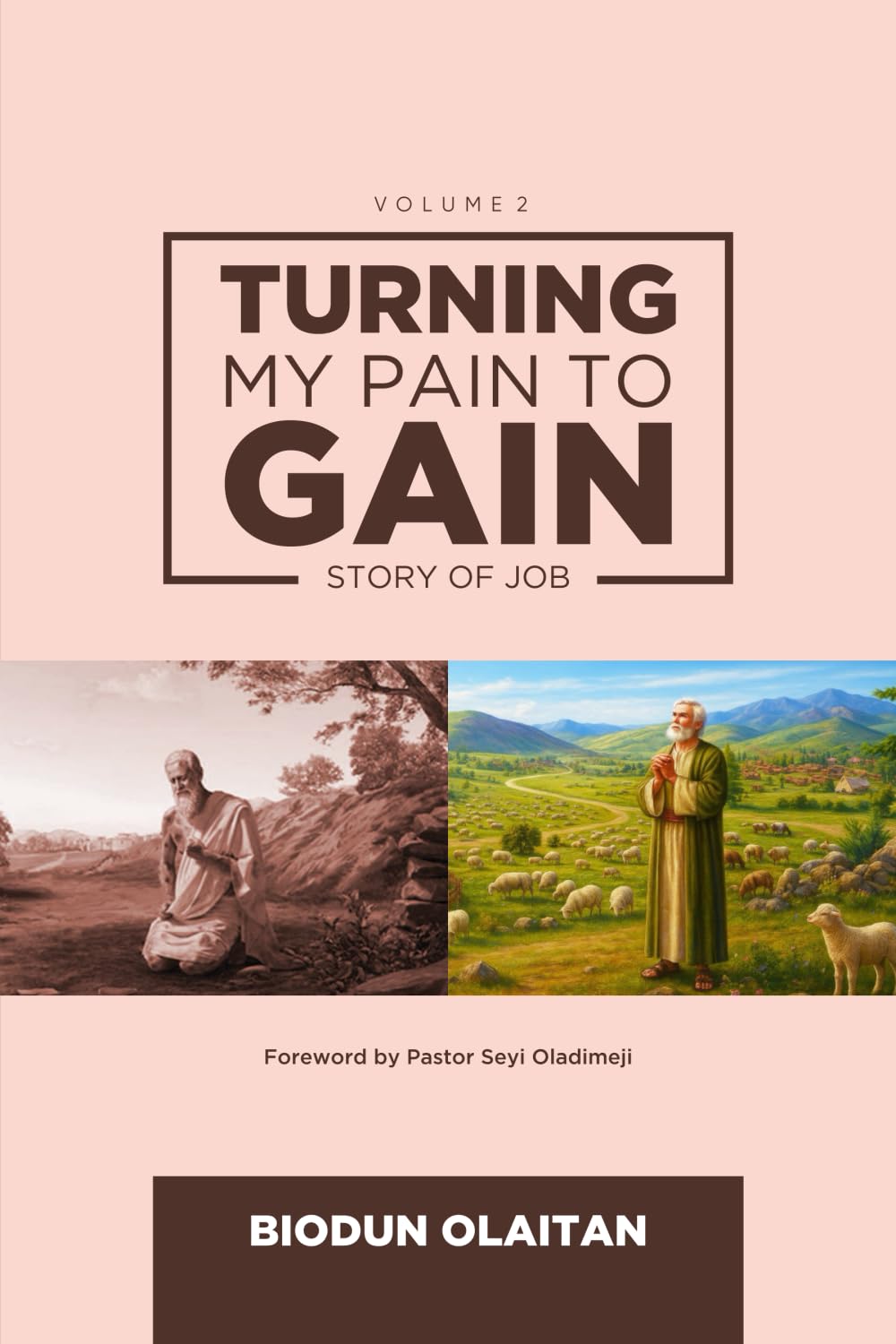 TURNING MY PAIN TO GAIN: STORY OF JOB