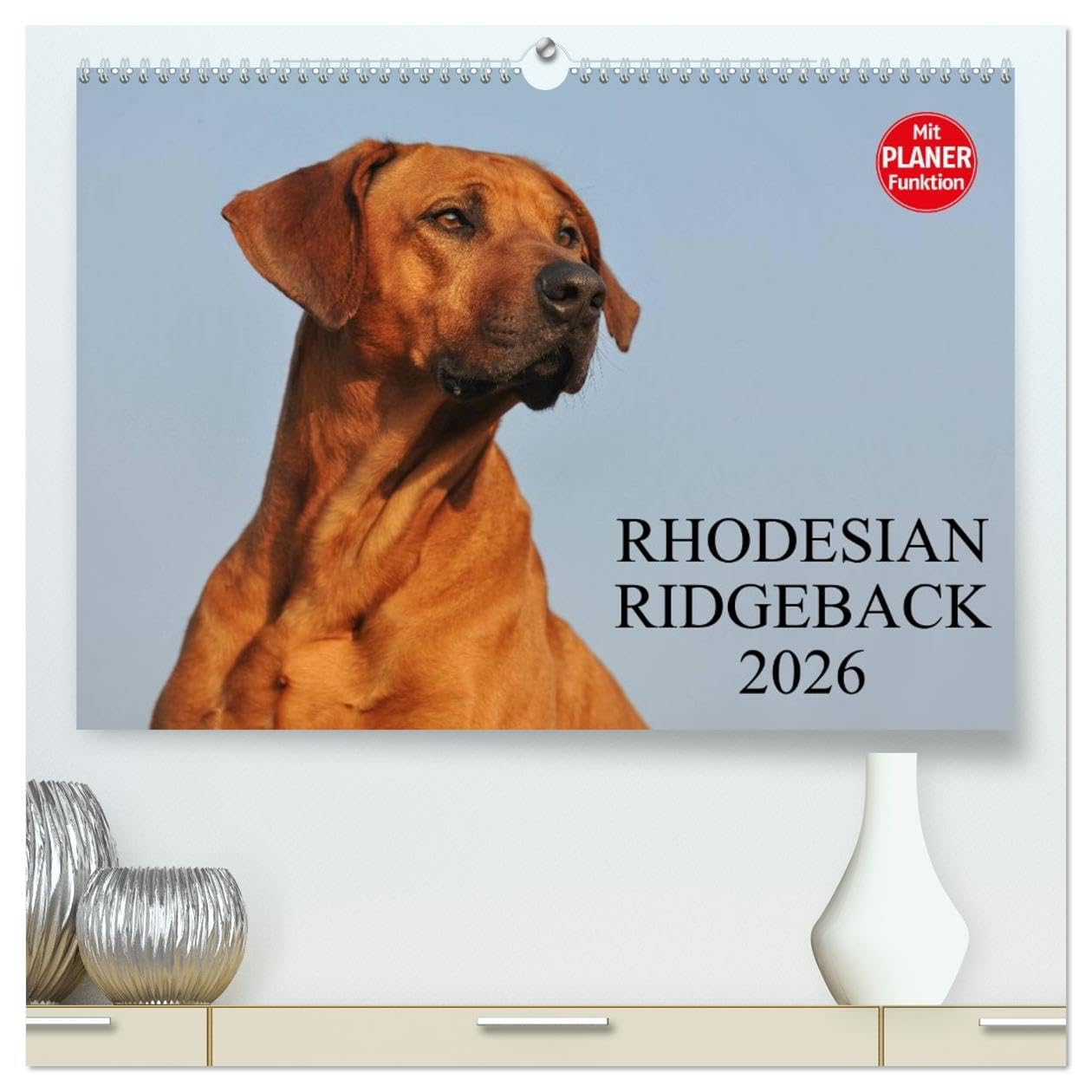 Rhodesian Ridgeback 2026 (hochwertiger Premium Wandkalender 2026 DIN A2 quer), Kunstdruck in Hochglanz: Eine der beliebtesten Hunderassen, der ... auf 13 faszinierenden Fotos (CALVENDO Tiere)