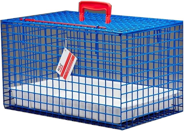 MDC Cat Carrier, all round view, great for travel, ideal for vets visits, top opening, Blue