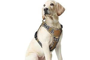 rabbitgoo Tactical Dog Harness Military Grade Dog Chest Harness for Medium Dogs...