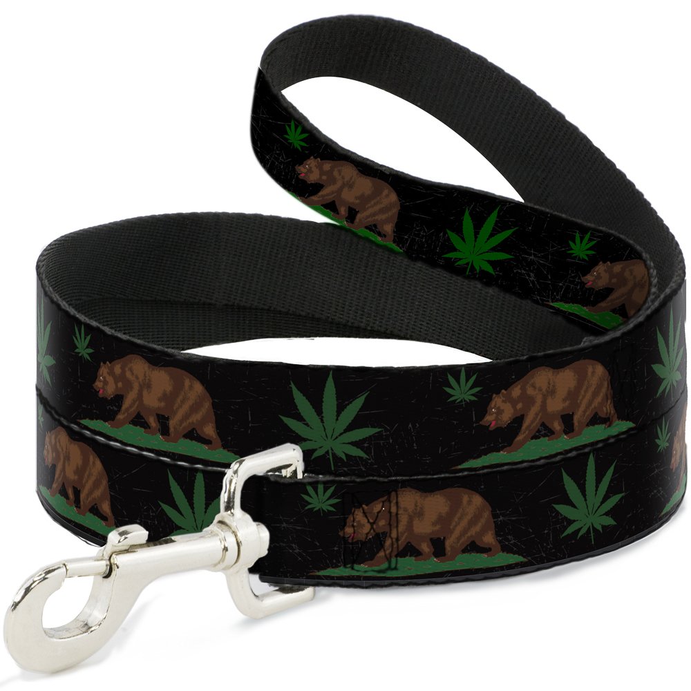 Laisse pour chien Buckle-Down Cali Bear noir gris vert petit moyen grand