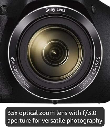 Amazon.com : Sony Cyber-shot DSC-H300 20.1 MP Digital Camera