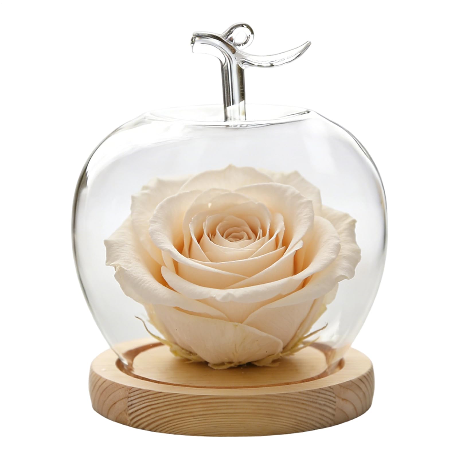 Cúpula de vidrio decorativa para regalos de boda y flores eternas