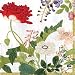Entertaining with Caspari Profusion of Flowers Paper Cocktail Napkins, Pack of 20