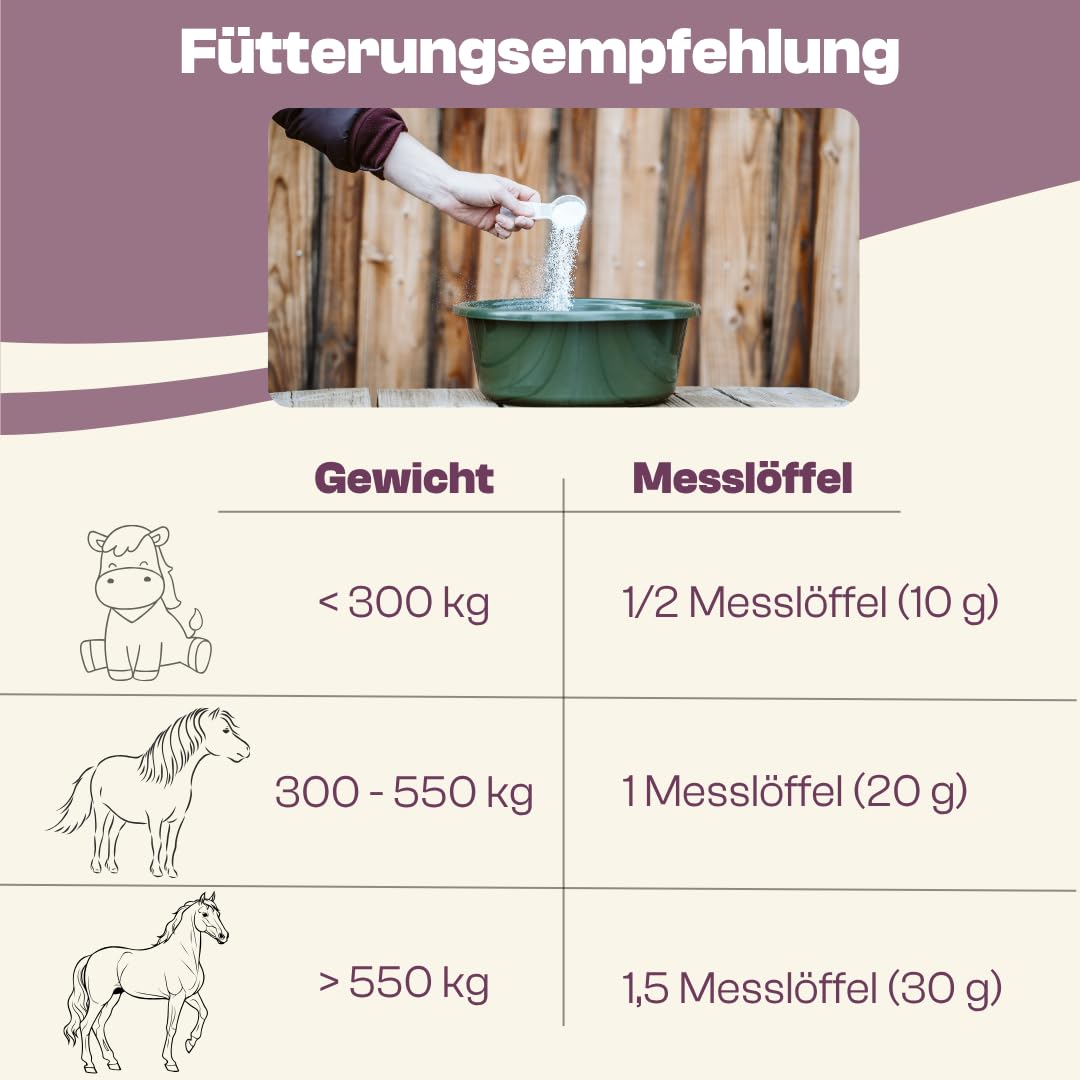 Aminosäuren Vitalmix für Pferde, 100% Reine dopingfreie L-Aminosäuren, 650g Monatspackung