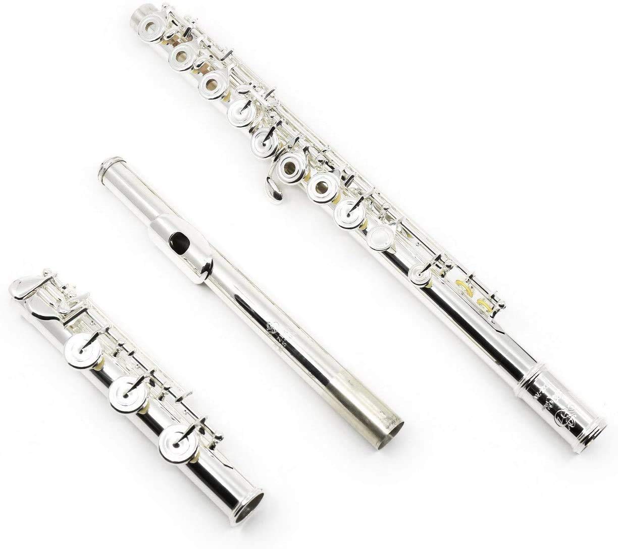 DZ-700 Advanced Silver Flute
