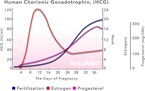 Miniatura 6 de Accumed 25 unidades de tiras de prueba de embarazo (HCG), resultados claros y precisos, aprobado por la FDA y con una precisión de más del 99%