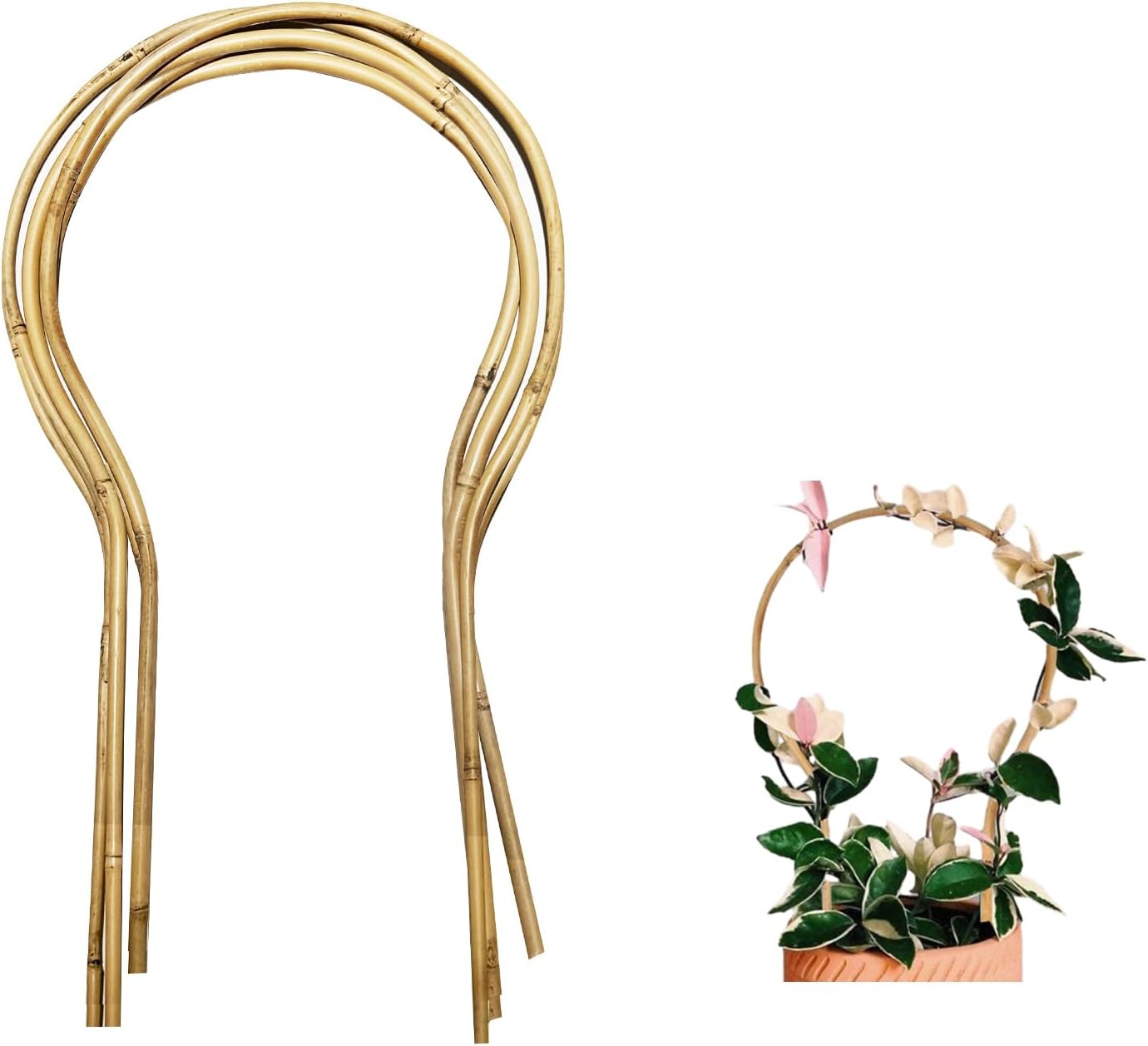 6 Pack Bamboo Trellis Round-Shaped for Potted Plant, 16 Inch Plant Support Stake for Climbing Vines, Decorative Hoop Stake for Potted Hoya