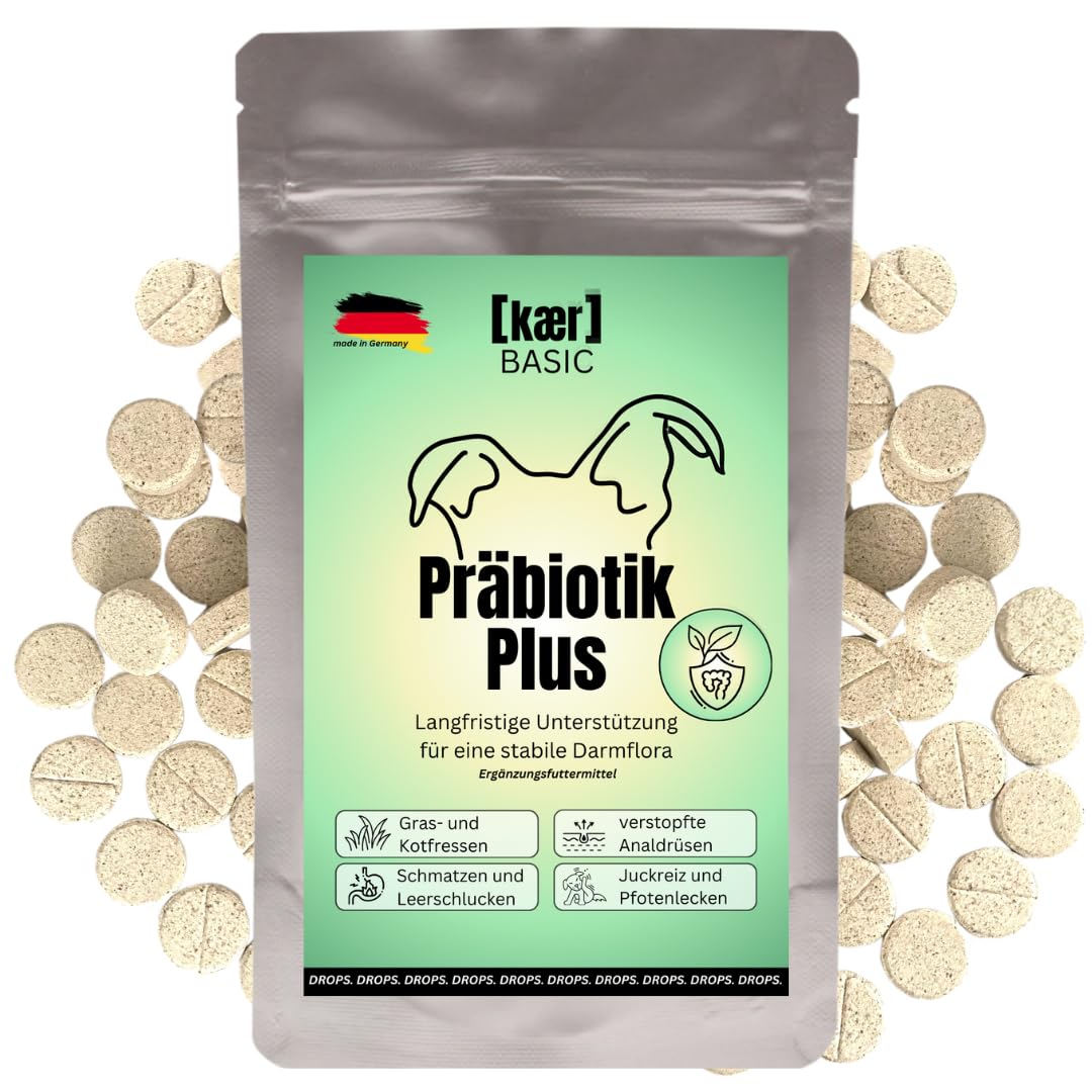 kaer Basic Probiotik Aktiv & Präbiotik Plus Pulver