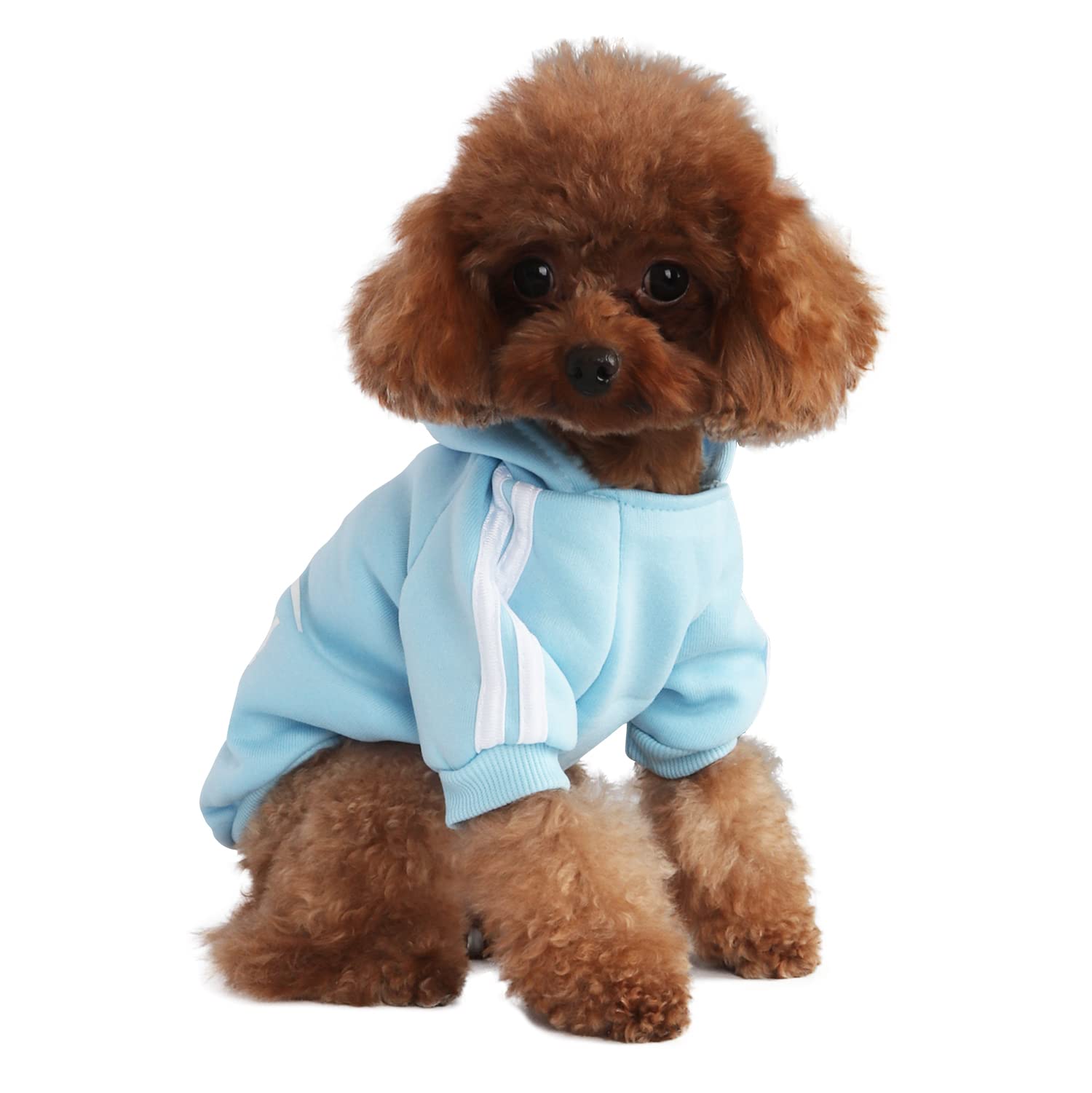 PenghaiYunfei Ropa Perro,Cálido Sudadera con Capucha para Perros Algodón Suéter Chaqueta Abrigo Costume Pullover para Mascota Pequeño Perro Gato (Azul Claro, XX-Large)
