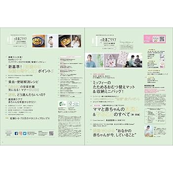 たまぴよちゃん専用 5月7日まで Amazon.co.jp: たまぴよウルトラBIG ぴよちゃん たまちゃん全2種
