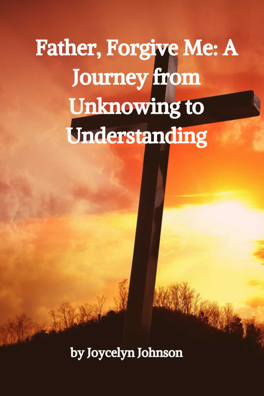 Father, Forgive Me: A Journey from Unknowing to Understanding