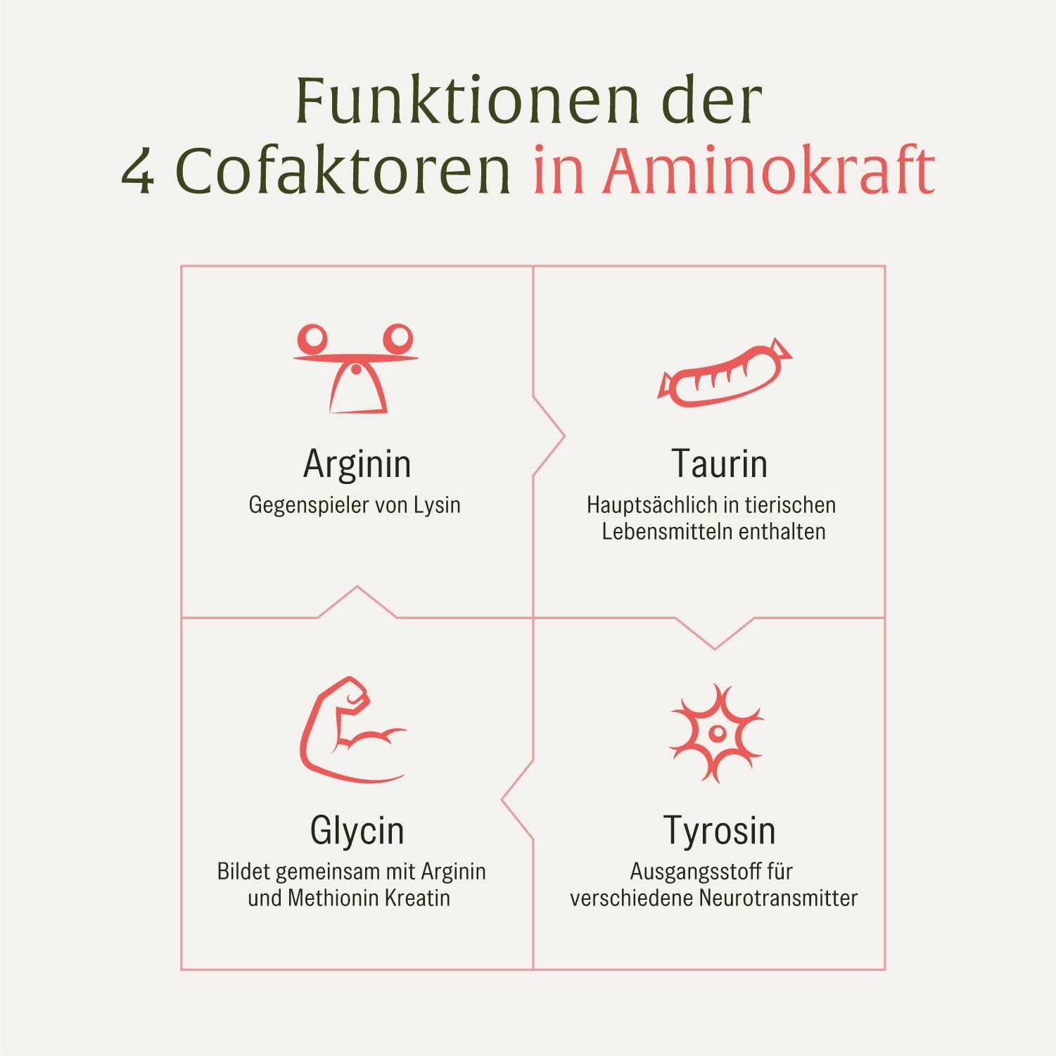 Aminosäuren Komplex hochdosiert - 180 vegane Amino Tabletten mit je 6000 mg pro Tagesdosis mit 12 verschiedenen Aminosäuren - EAA Pattern Presslinge von NATURTREU
