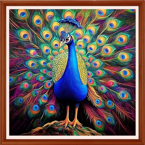 Image of Hopeart Stamped Cross Stitch Kits for Beginner Embroidery Kits for Beginners Adults DIY 11CT Cross Stitch Patterns Needlepoint Kits Crossstitching Kits-Colorful Peacock 18x18 inchs