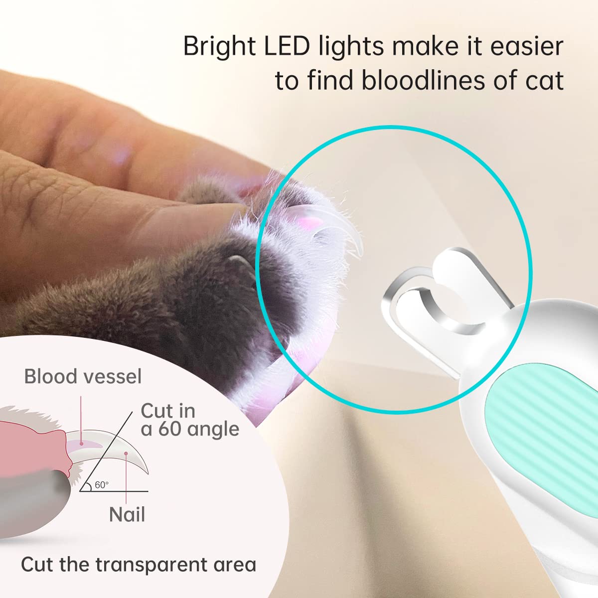 Coupe-ongles à LED pour chat avec lime à ongles, grande taille (bleu)