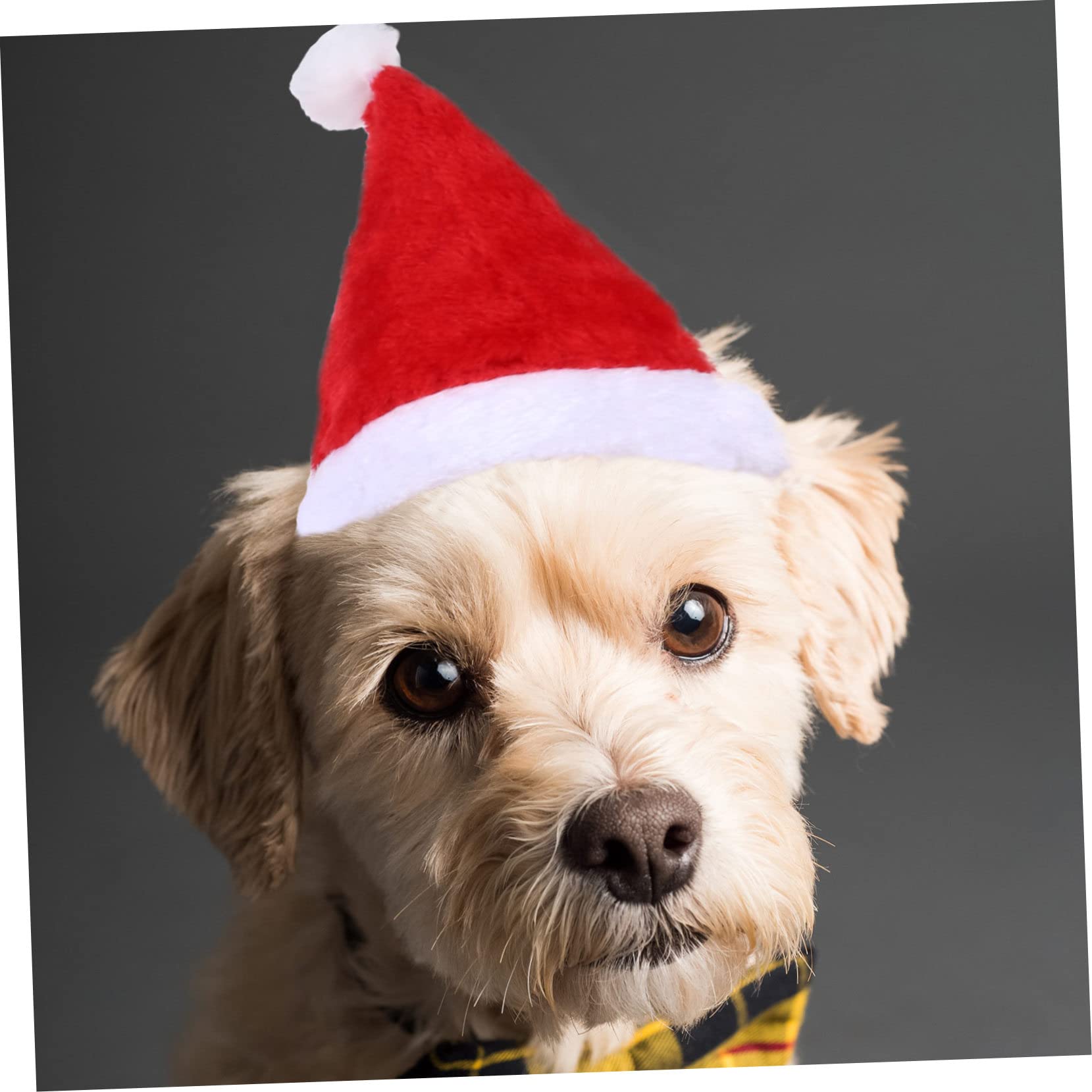 INOOMP 3 Set Di Abbigliamento Per Animali Domestici Con Tema Natalizio Adorabile Maglione Per Cani Con Renna E Cassaforte 2 Pezzi * 3