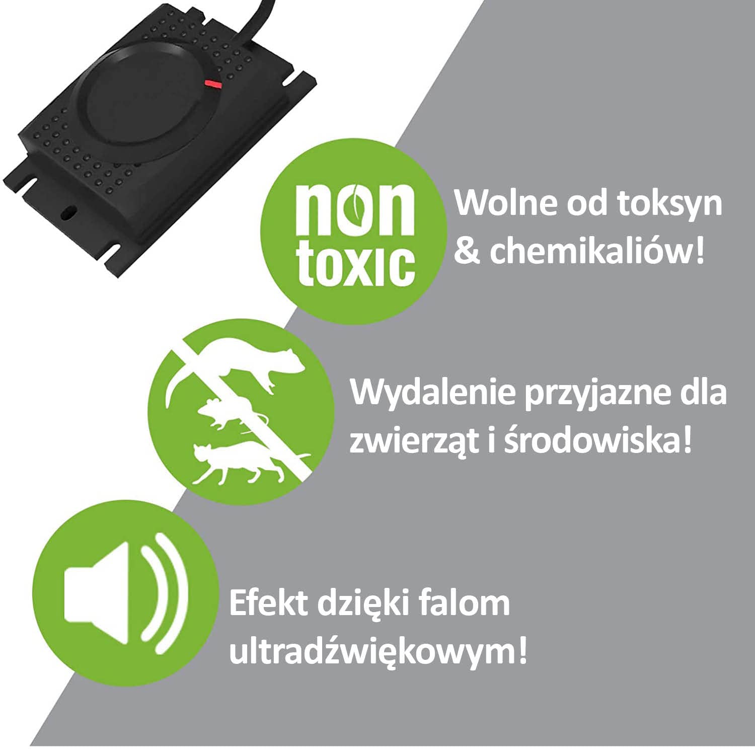ISOTRONIC Ultradźwiękowy odstraszacz kun do samochodu 12V – Zgodny z CAN-BUS – Podłączenie do akumulatora – Skuteczna ochrona przed gryzoniami – Zasięg 40 m² (2 sztuka)
