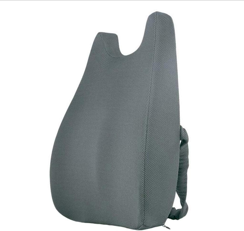 Lumbar Pillow - Memory Foam Lumbar Support Back Cushion with Back Pillow for Computer/Office Chair, Car Seat, Recliner(Black)
