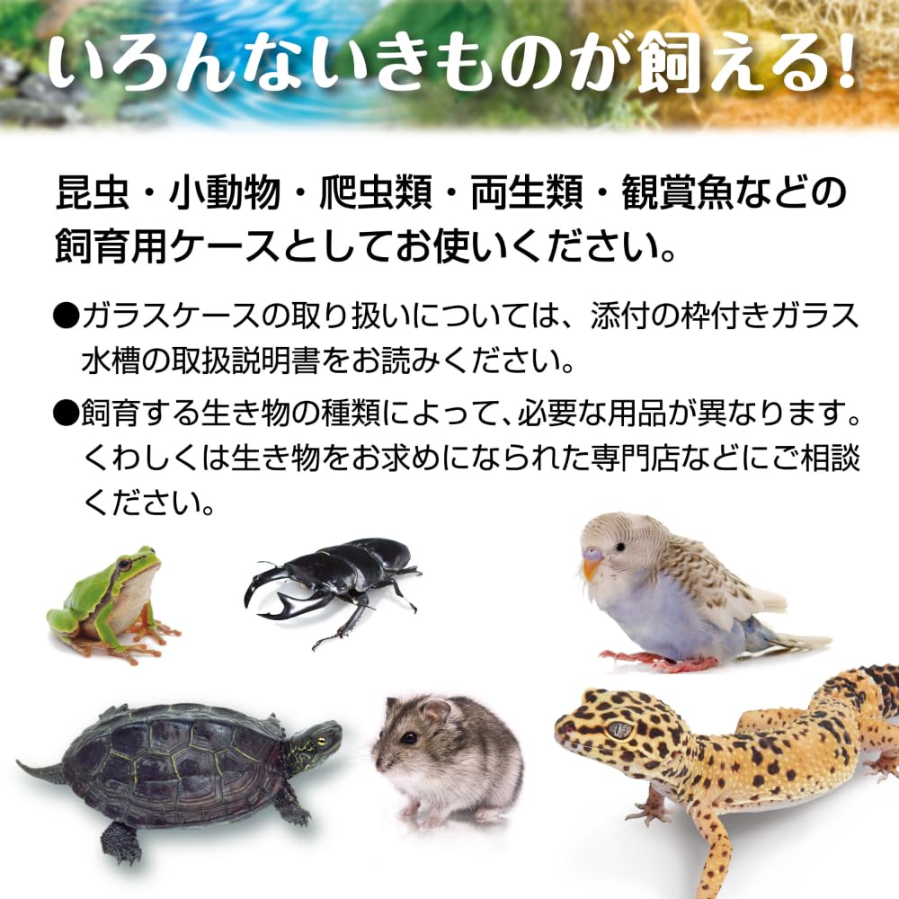 Amazon | ガラスケース&カバーセット 400High | GEX | ふた 通販