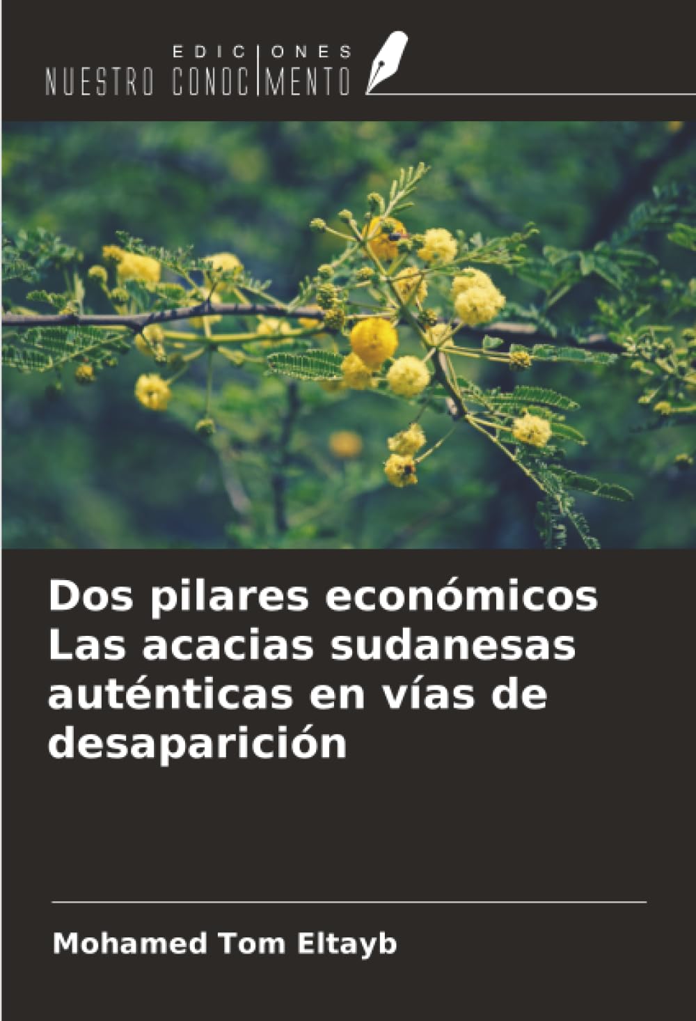 Dos pilares económicos Las acacias sudanesas auténticas en vías de desaparición