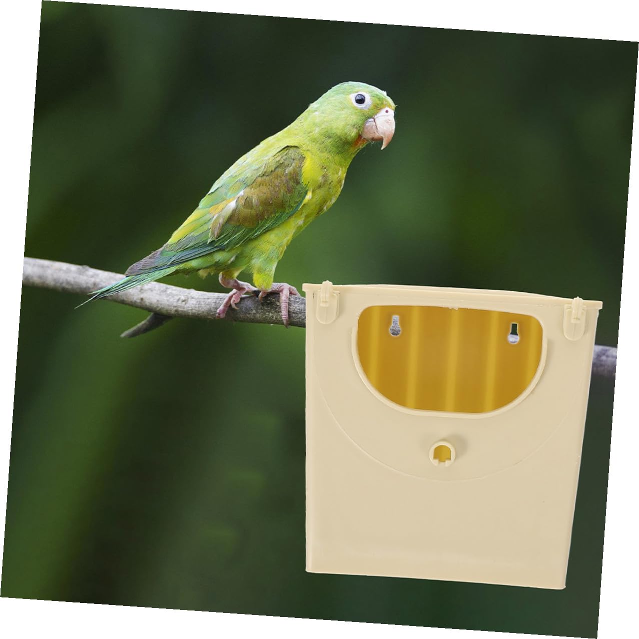 Abaodam 5 Pezzi Nido in Plastica per Allevamento Uccelli, Leggero e Stabile, Scatola per Cocorite e Piccoli Pappagalli, per Allevamento in Gabbia