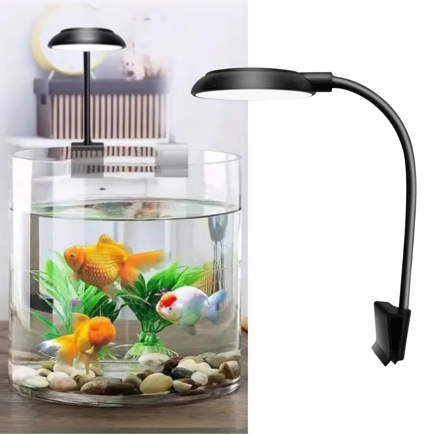 VAYINATO® 6W Black High Brightness 360 Degree Flexible Clip On Light Aquarium Fish Tank and Bowl Light Suitable Upto 45Cm Tank by Petzlifeworld (B0CND459DK) Amazon Price History, Amazon Price Tracker