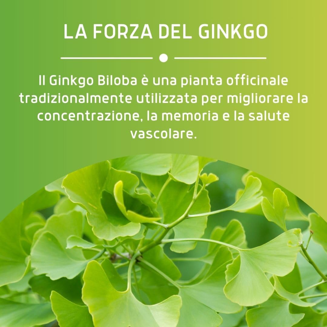ERBEX - Integratore Ginkgo Biloba Vegano Forte per Prevenire Invecchiamento, Azione Antiossidante, Aiuto Naturale per Memoria e Funzioni Cognitive Ginkgo Biloba in Capsule