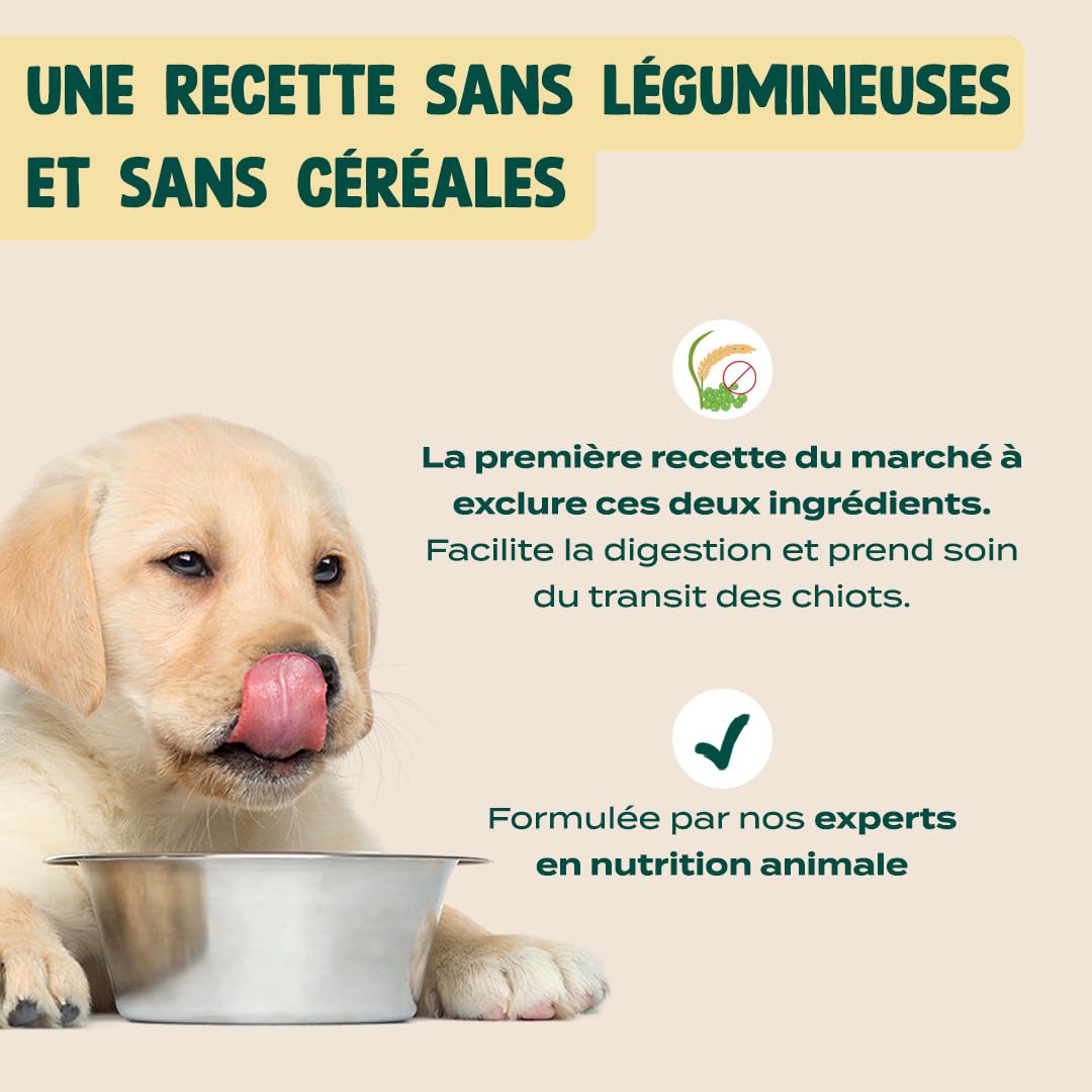 FRANKLIN – Croquette pour Chiot – 73% de Dinde et Truite – 6 kg | Sans Légumineuses et Sans Céréales – Riche en protéine – Digestion Facile – Croissance Optimale - Taille 13mm