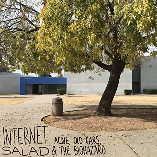 The Best Glue For A Car Bumper On The Market Today