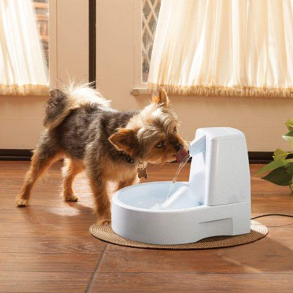 Fonte Água PetSafe Drinkwell - 3 Litros Com Filtro Para Cães E Gatos