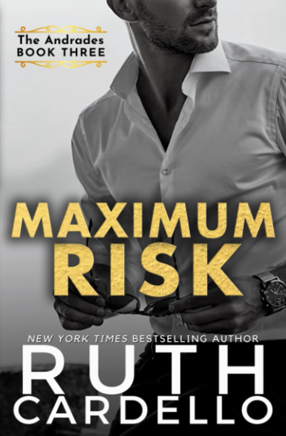 Maximum Risk (The Andrades Book Three): Volume 3