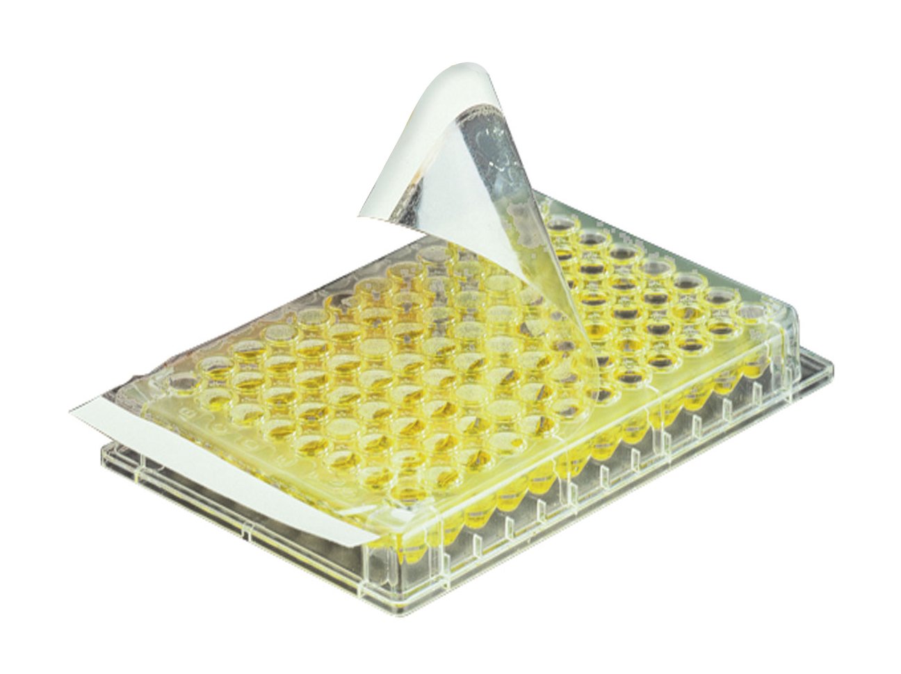 Axygen AxySeal PCR-SP-S Polyester Sealing Film for Tissue Culture, Short-Term Storage and Transportation, 80µm Thick, 146mm Length, 79.6mm Width, Sterile (Case of 500)