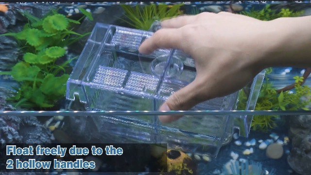 Pawfly Aquarium Fish Breeding Box Acrylic Hatchery Incubator Tank with Suction Cups Medium Isolation Box for Baby Fish Shrimp Betta and Guppy : Pet Supplies