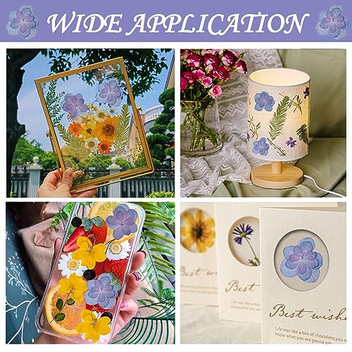 Flores secas prensadas azul púrpura para artesanía resina miniatura 3